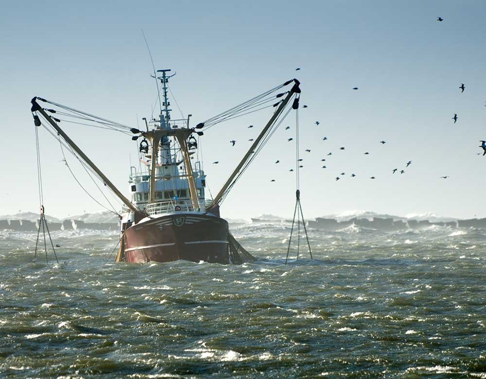 Navires de pêche hauturière