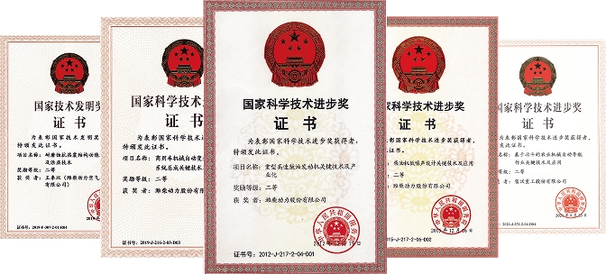 National Science and Technology Progress Award